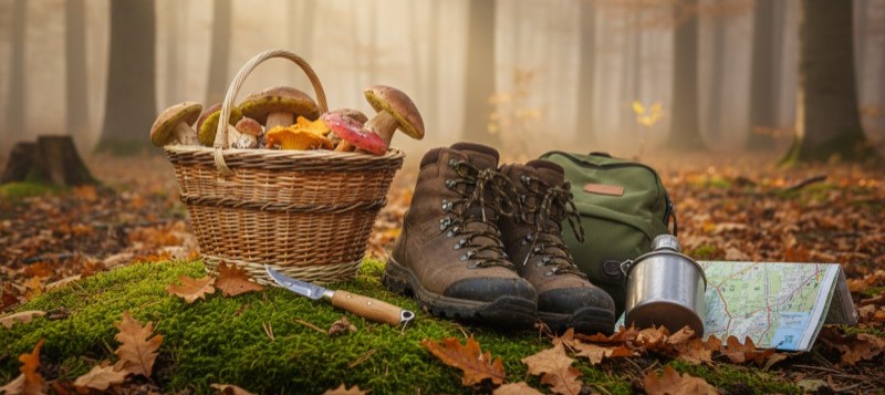 Preparar una salida al monte: imprescindibles para una jornada de setas