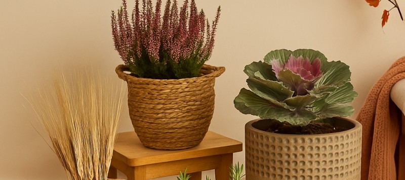 Maceteros rústicos para decorar en otoño